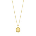 Sterling Silver Gold Plated Oval Vine Locket Necklace