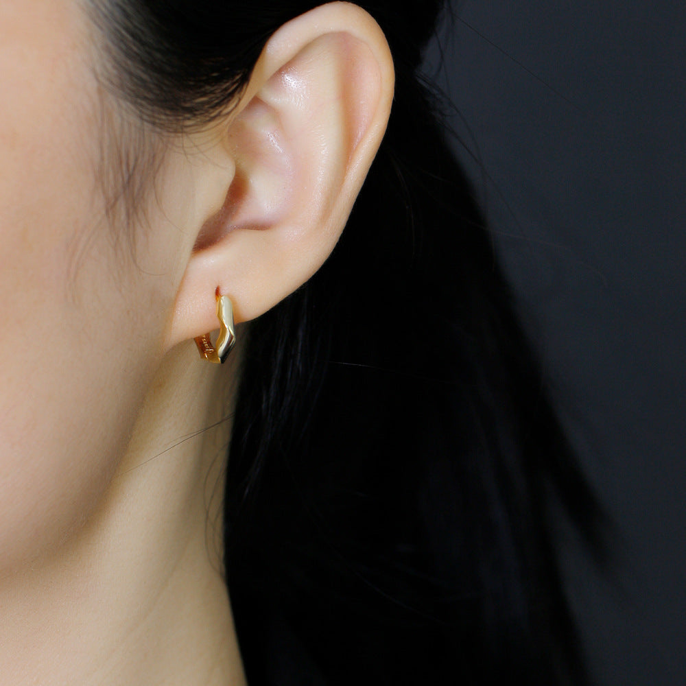 Twisted Geometric Hoop Earrings in 925 Sterling Silver Earrings